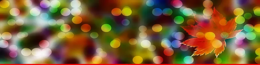 How to Remove Mould and Mildew from Your Carpets